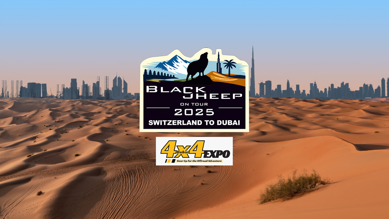 太郎　sub d2.0 black sheep BlackSheep Archive - Black Sheep Innovations GmbH